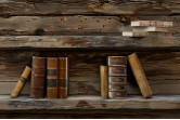 Книжні полиці