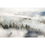 Фотообои дымка над сосновым лесом в горах
