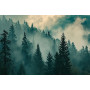 Фотошпалери красивий лісовий пейзаж