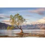 Картина Самотнє дерево біля озера