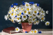 Картини з квітами