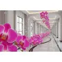 Фотошпалери елегантність орхідей