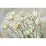 Фотошпалери 3D текстурний акрил білі тюльпани