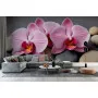Фотошпалери квіти орхідей на каміннях