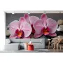 Фотошпалери квіти орхідей на каміннях