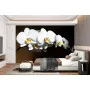 Фотошпалери біла орхідея на темному тлі