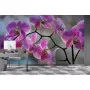 Фотошпалери гарна рожева орхідея