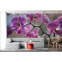 Фотошпалери гарна рожева орхідея
