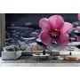 Фотошпалери прекрасна квітка орхідеї на каміннях