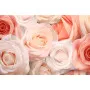 Фотошпалери ніжні 3D троянди