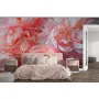 Фотошпалери ніжні яскраві півонії