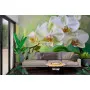 Фотошпалери елегантність орхідеї