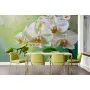 Фотошпалери елегантність орхідеї