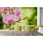 Фотошпалери гілка ніжною орхідеї над водою