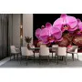 Фотошпалери орхідеї
