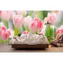 Фотошпалери тюльпани.