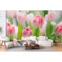 Фотошпалери тюльпани.