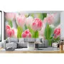 Фотошпалери тюльпани.