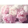 Фотошпалери букет півонії
