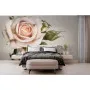 Фотошпалери ніжна троянда