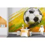 Фотошпалери крупний план м'яча