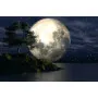 Фотошпалери місячна ніч