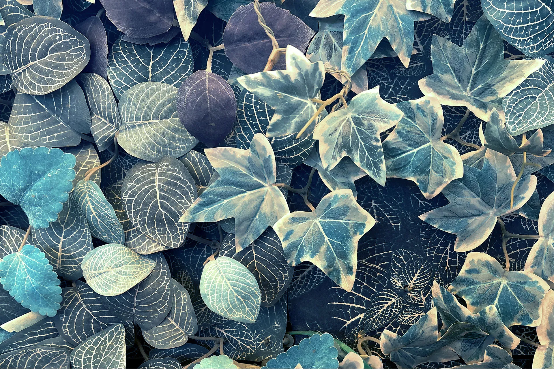 Фотошпалери фон з листя.