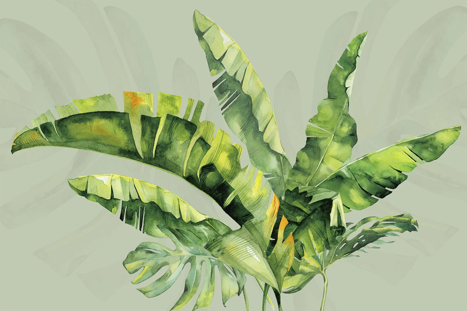 Фотошпалери малюнок листя папаратника.