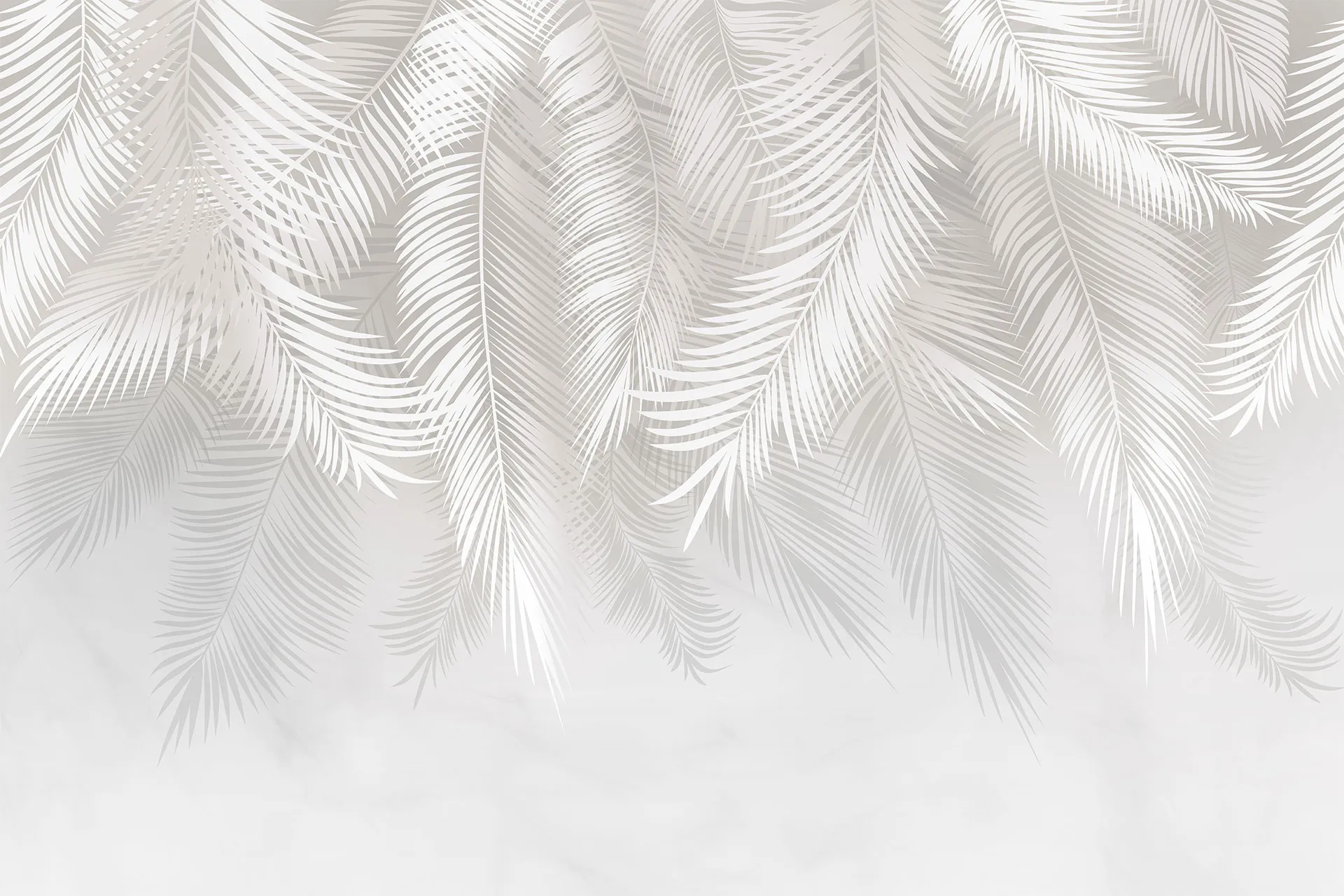 Фотошпалери світло сірі пальмові гілки.