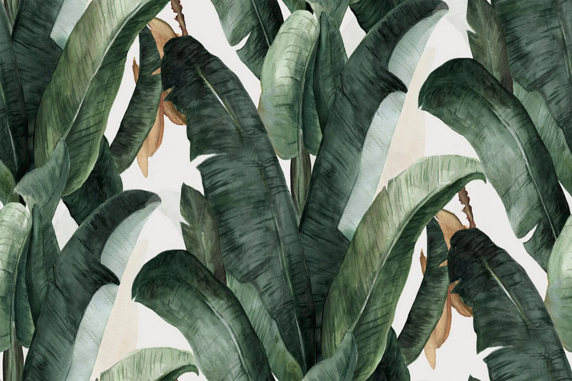 Фотошпалери мальовані листя папаратника.