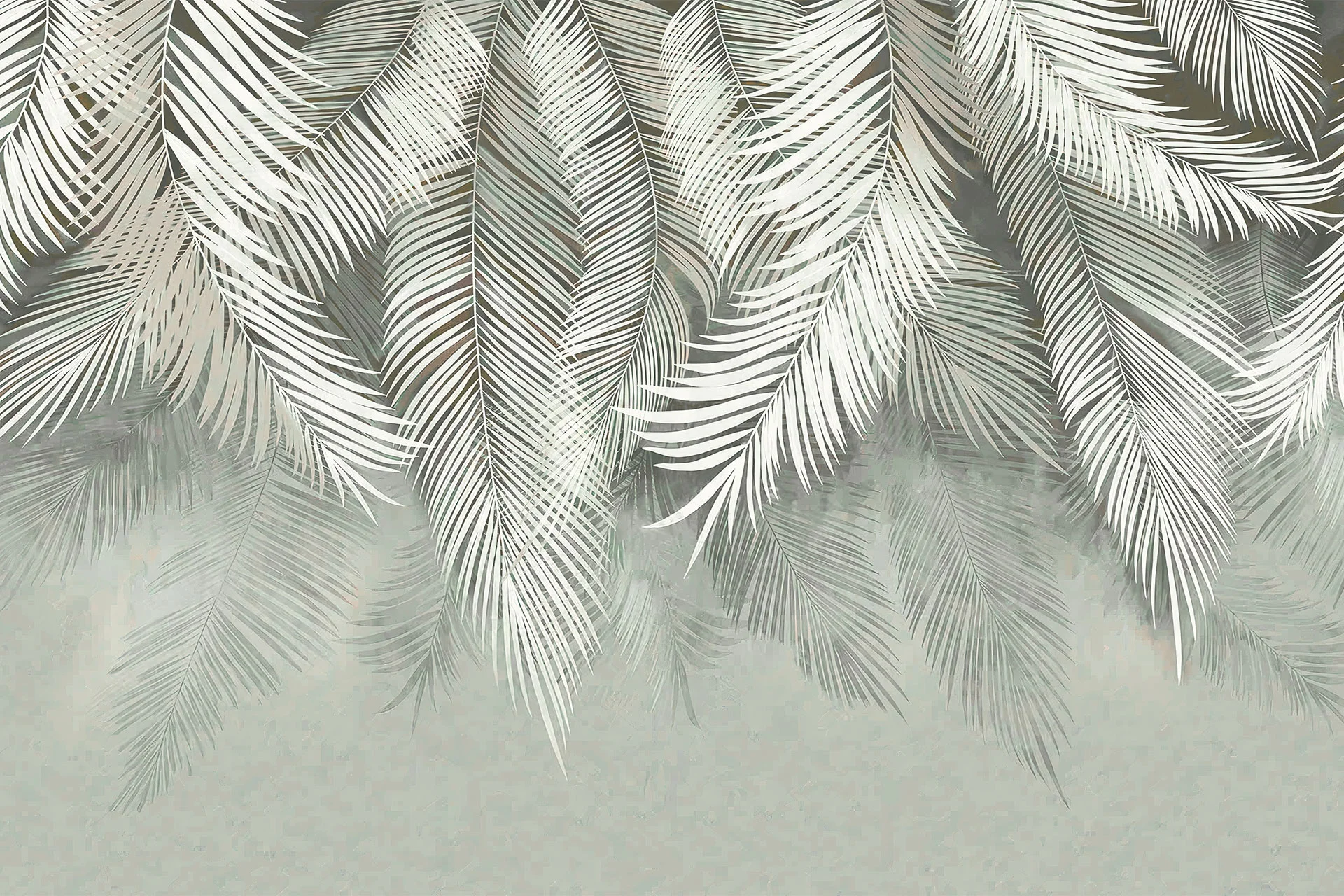 Фотошпалери пальмове листя на світло-зеленому фоні