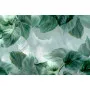 Фотошпалери смарагдове листя