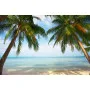 Фотошпалери морський пляж і пальми