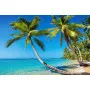 Фотошпалери пальми над морською водою