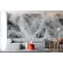 Фотошпалери легке пір'я в чорно-білих тонах