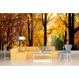 Фотошпалери осінній ліс