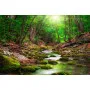 Фотошпалери лісова річка