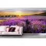 Фотошпалери лавандове поле