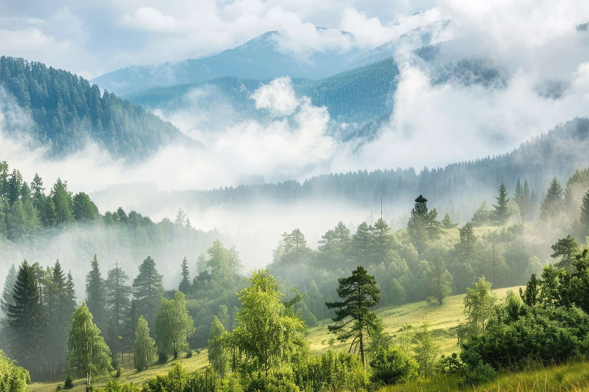 Фотошпалери туман у горах