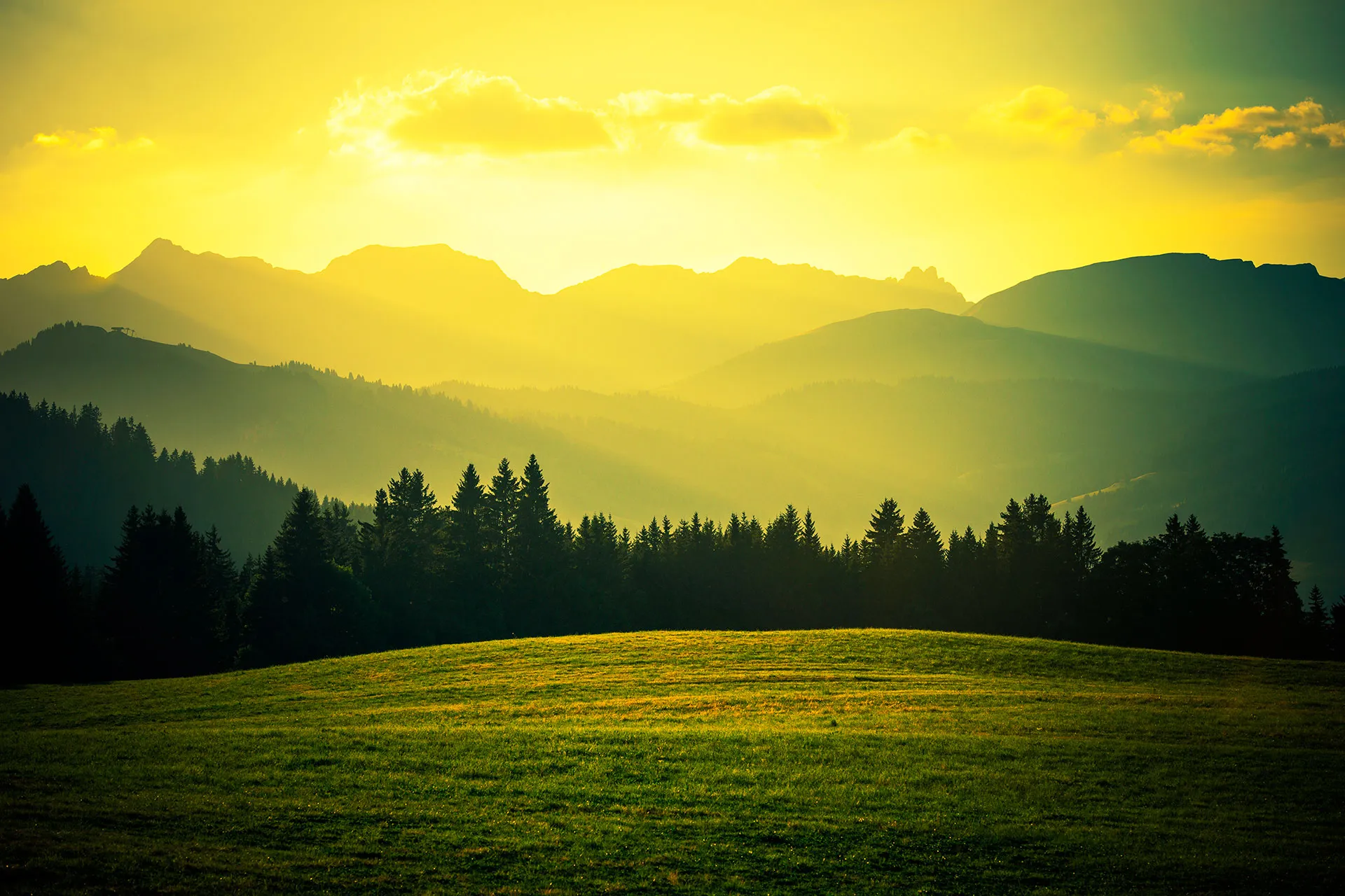 Фотошпалери золотий захід сонця
