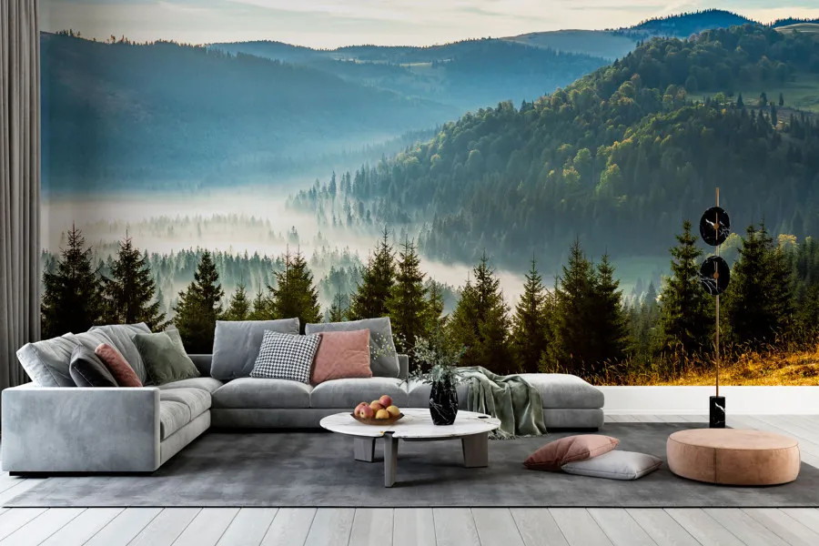 Фотошпалери туман у долині