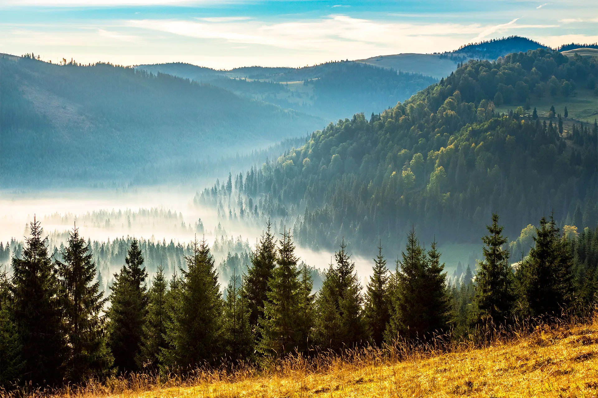 Фотошпалери туман у долині