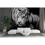 Фотошпалери тигр у монохромному виконанні.