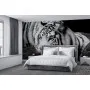 Фотошпалери тигр у монохромному виконанні.