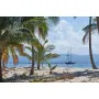 Фотошпалери піщаний пляж з пальмами