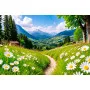 Фотошпалери квіткова галявина біля підніжжя гір
