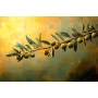 Фотошпалери гілка оливи