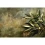 Фотошпалери оливкова зелень