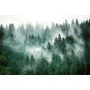 Фотошпалери чарівний сосновий ліс