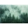 Фотошпалери сосновий ліс у таємничому тумані ранку